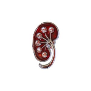 Brooch - Kidney - Silver